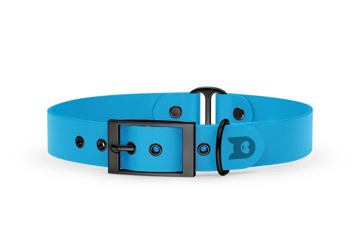 Light blue best sale puppy collar