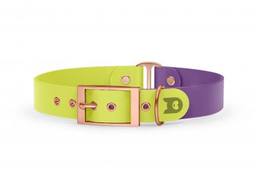 Dog Collar Duo: Neon yellow & Purpur with Rosegold