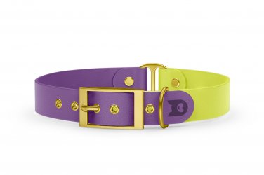 Dog Collar Duo: Purpur & Neon yellow with Gold