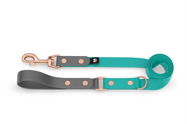 Dog Leash Duo: Gray & Pastel green with Rosegold components