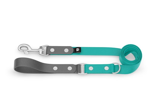 Dog Leash Duo: Gray & Pastel green with Silver components