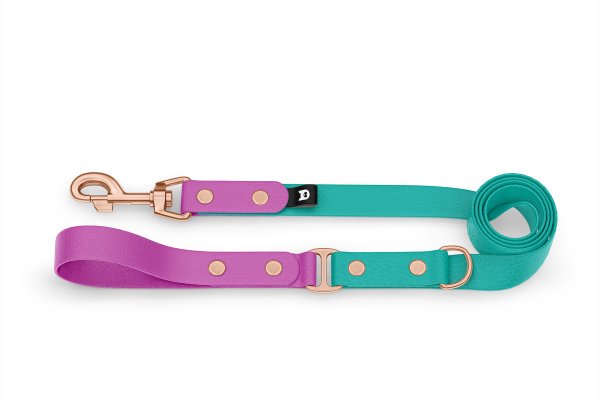 Dog Leash Duo: Light purple & Pastel green with Rosegold components