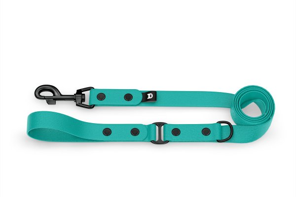 Dog Leash Duo: Pastel green & Pastel green with Black components