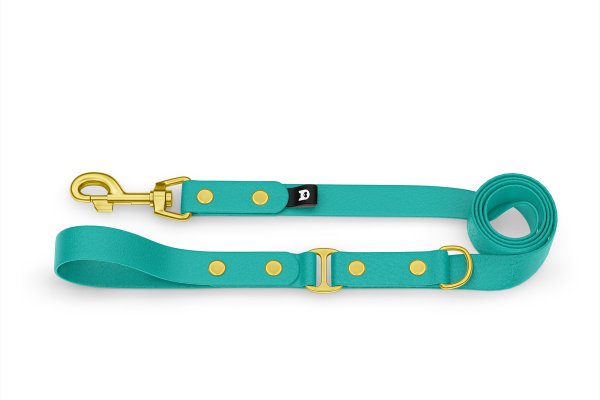 Dog Leash Duo: Pastel green & Pastel green with Gold components