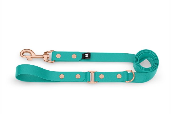 Dog Leash Duo: Pastel green & Pastel green with Rosegold components