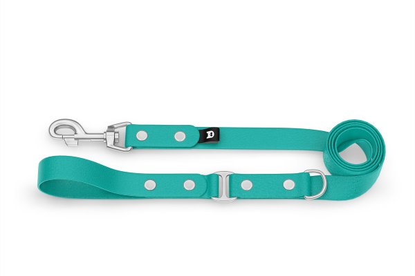 Dog Leash Duo: Pastel green & Pastel green with Silver components