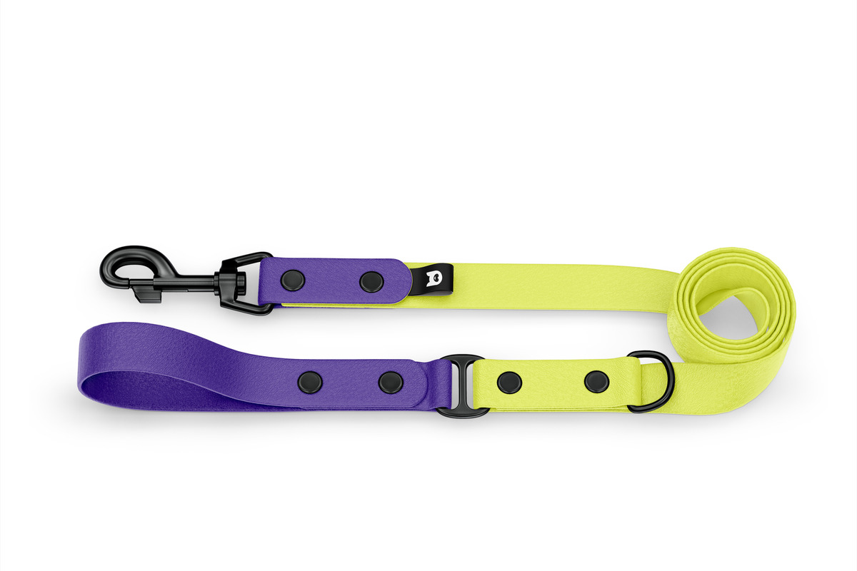 Neon dog hot sale leash