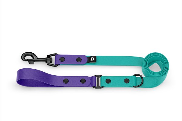 Dog Leash Duo: Purple & Pastel green with Black components