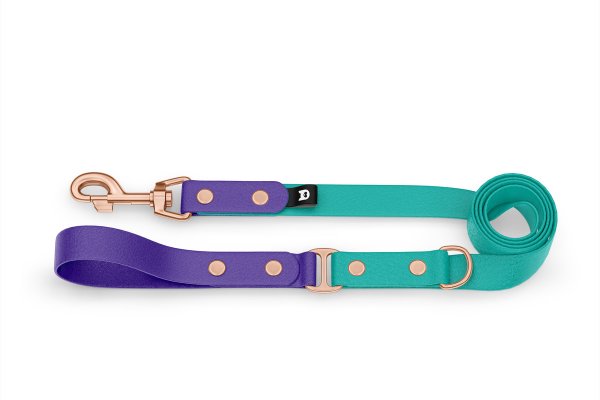 Dog Leash Duo: Purple & Pastel green with Rosegold components