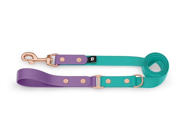 Dog Leash Duo: Purpur & Pastel green with Rosegold components