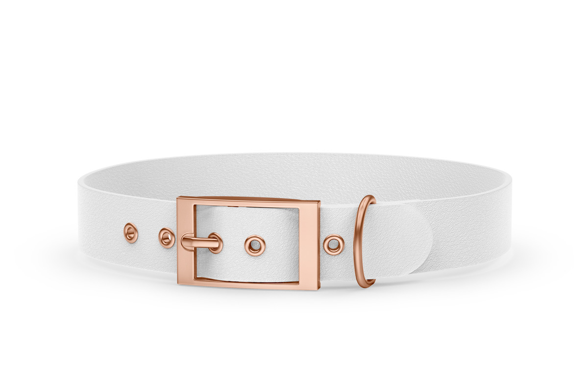 Rose gold clearance buckle dog collar