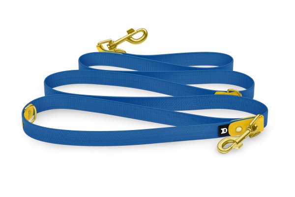 Dog Leash Reduce: Yellow & Blue with Gold components